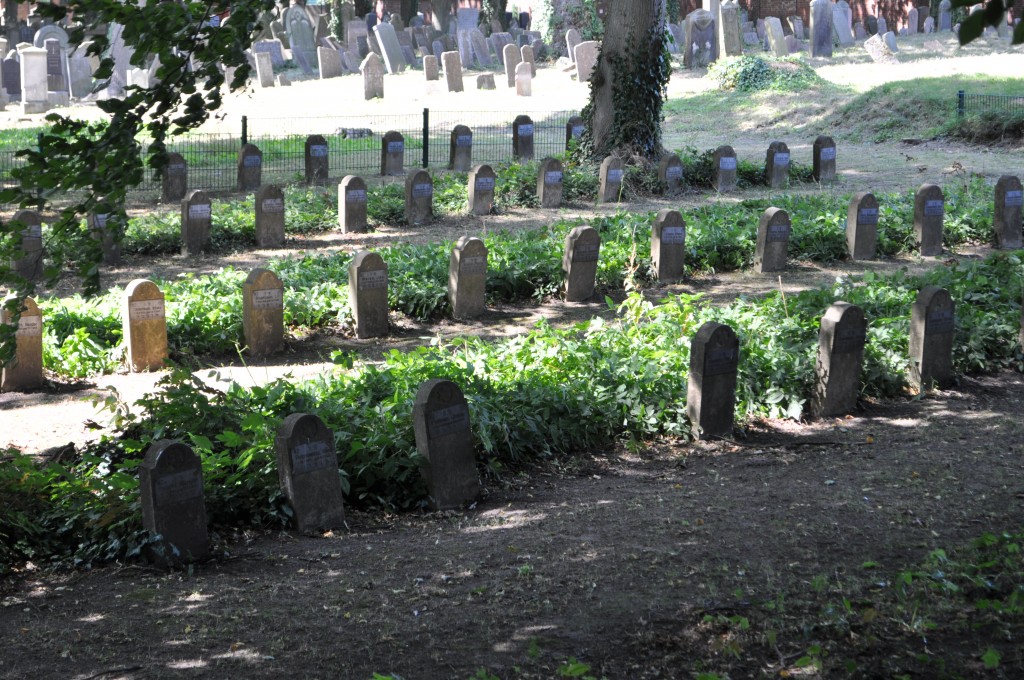 Israel Benelux resor 14 170